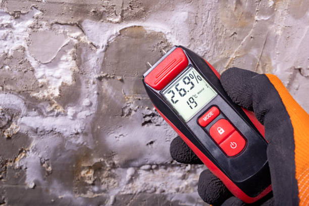 Best Residential Mold Remediation in Richwood, WV