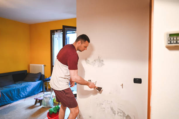 Best Attic Mold Remediation in Richwood, WV